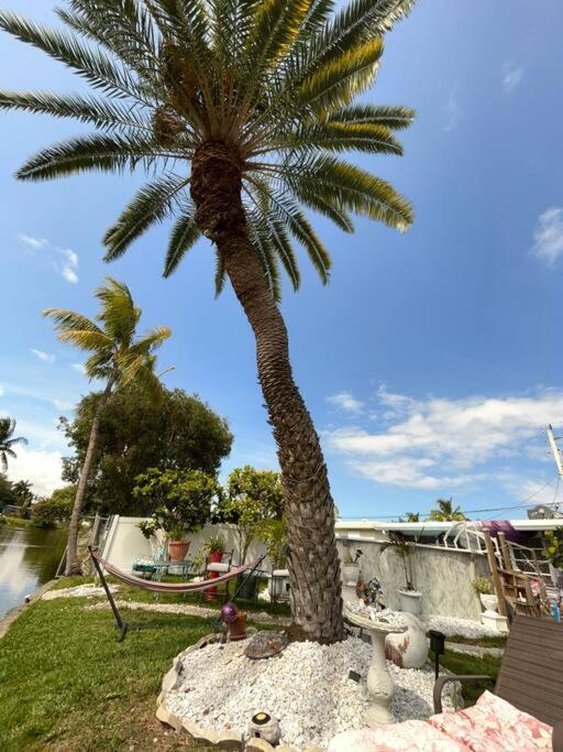 Tranquil Zen Pool Water Front King,Near Beaches,Nightlife, Hard Rock,Shopping,Paradise Vila Hallandale Beach Exterior foto